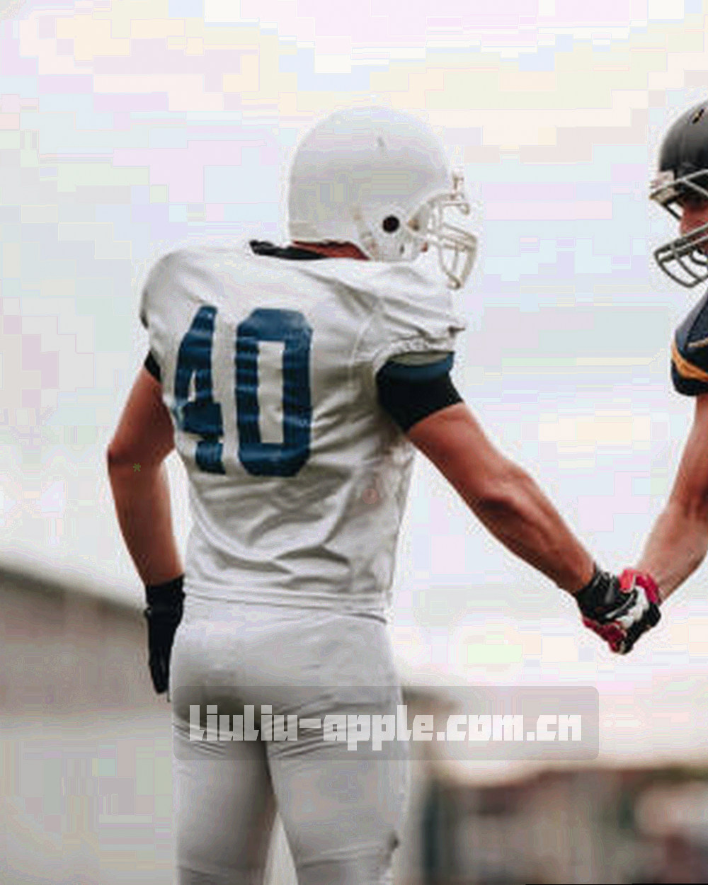 球门网与草皮纹理的抽象特写，线条规则且层次分明